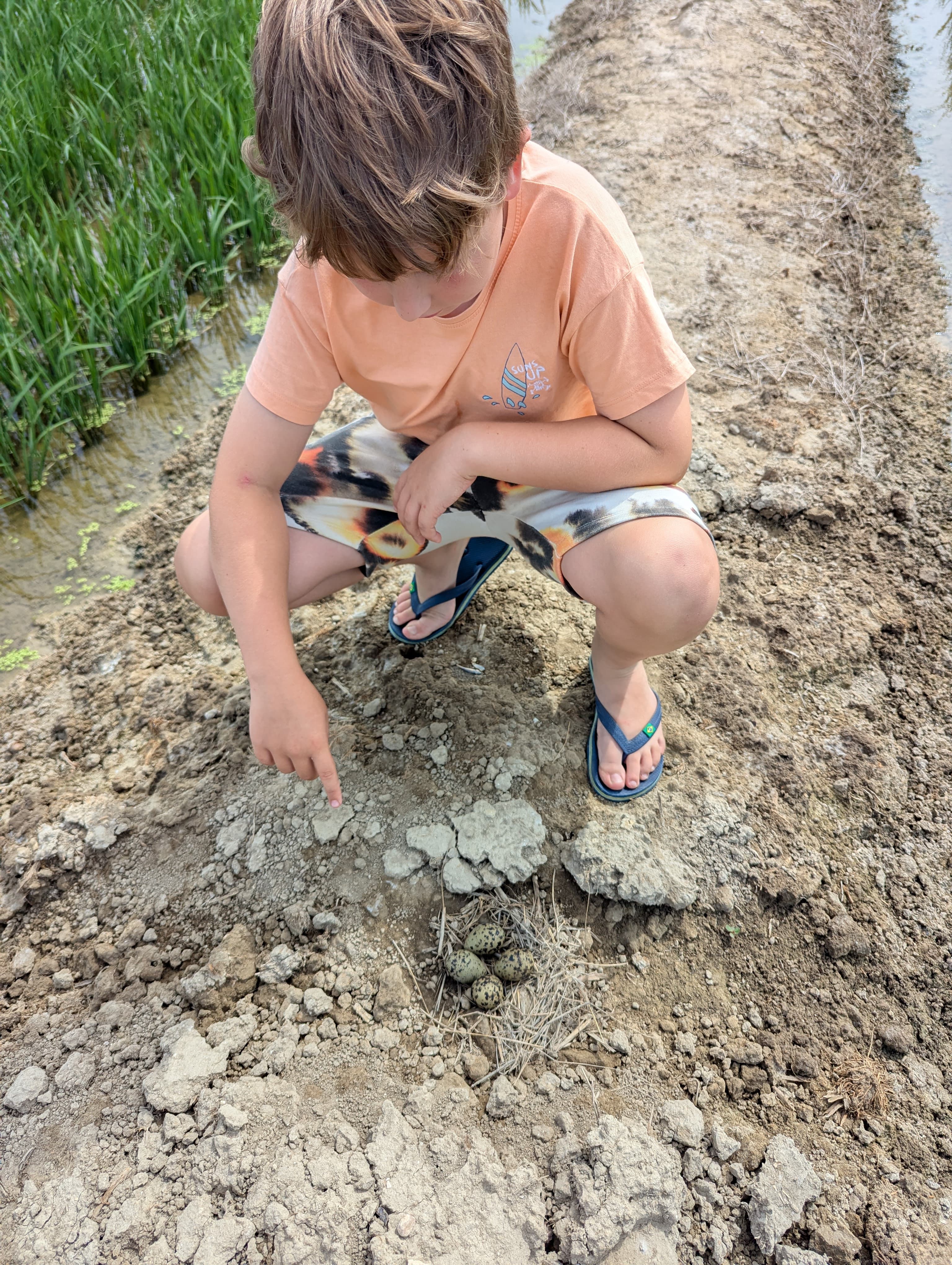 A child noticing nature on a Zwela adventure