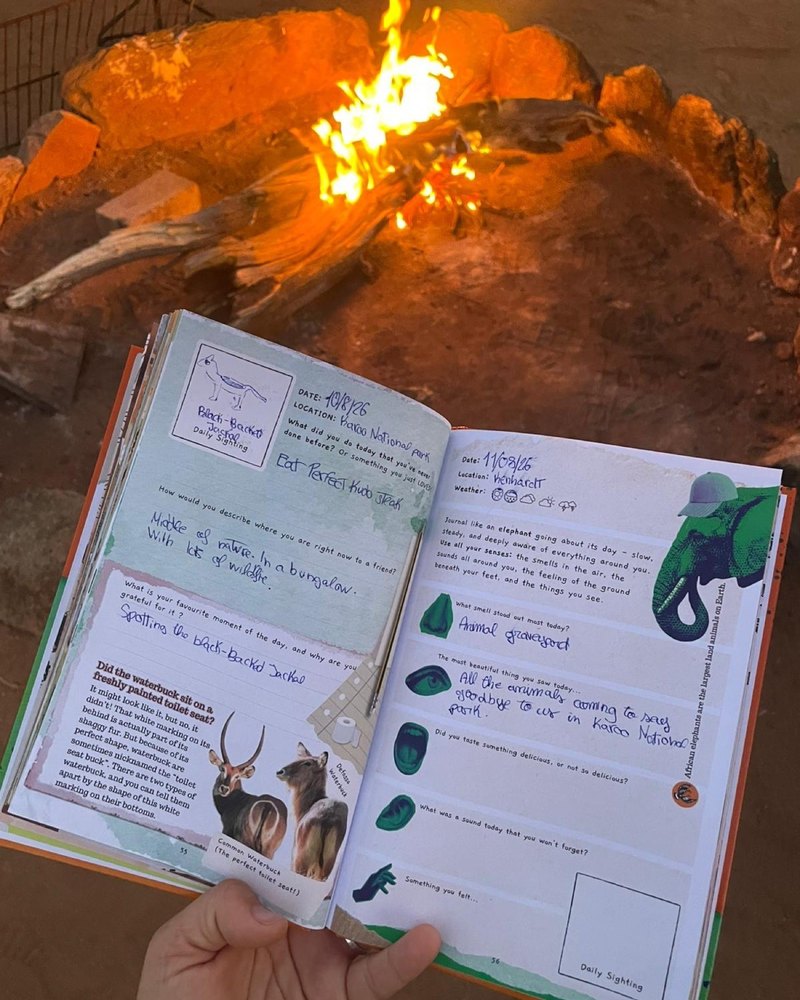 A campfire under the stars on safari