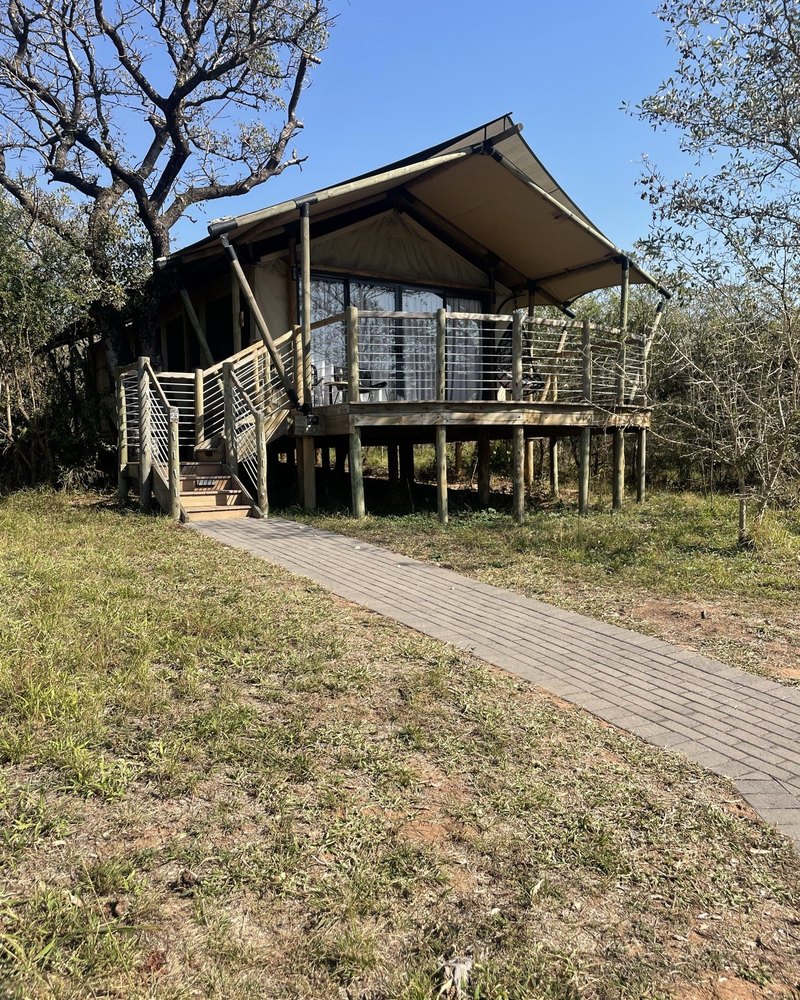 A safari lodge at dusk