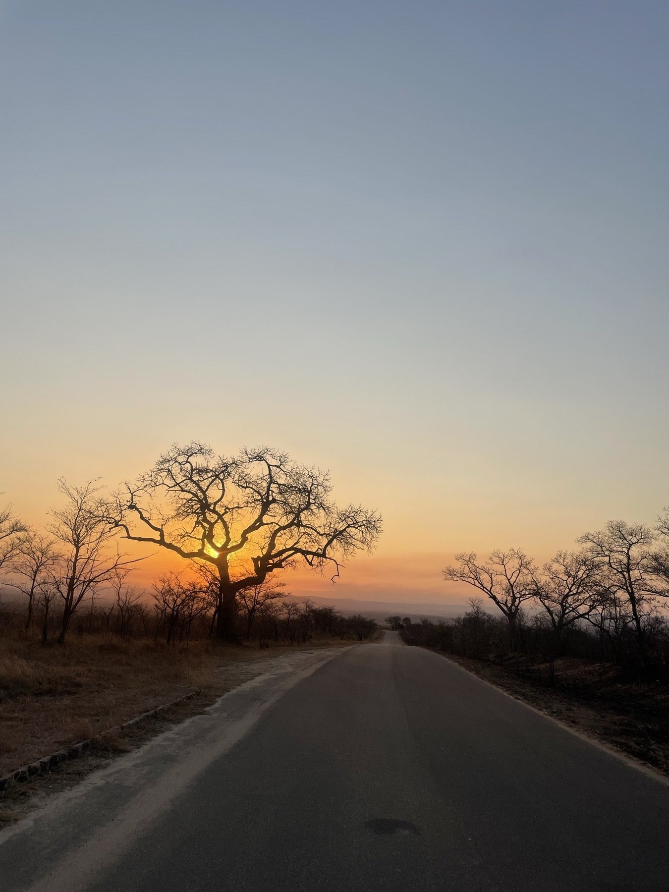 Sunset over the African bush on a family safari