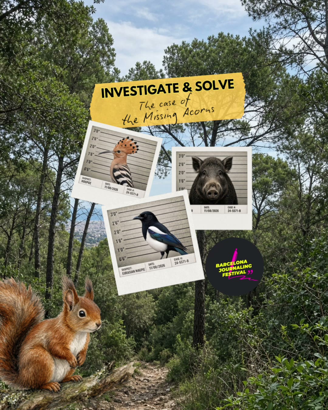Investigate and solve: the suspects in The Case of the Missing Acorns
