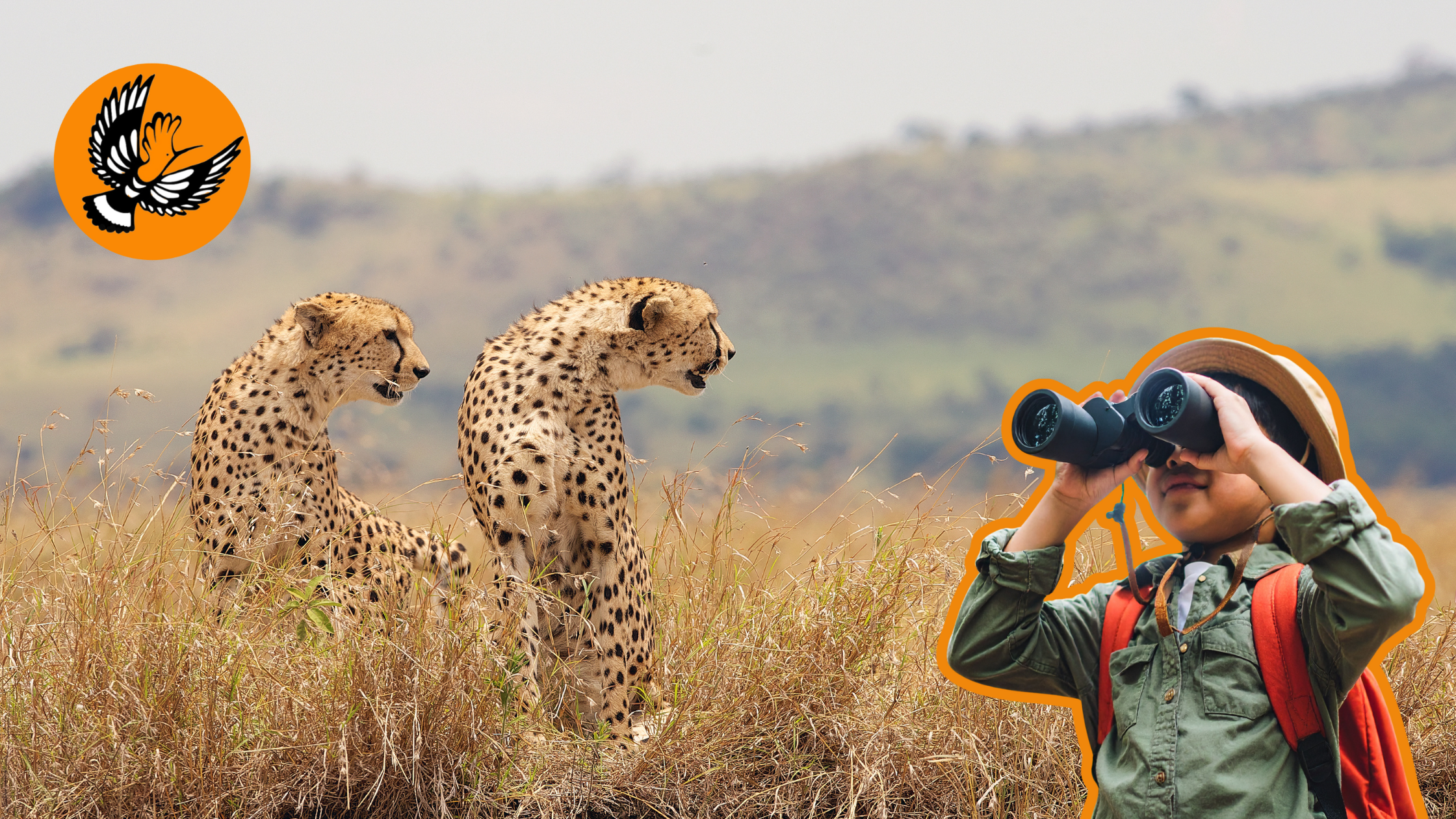 Top 10 Family-Friendly Destinations in South Africa for the Summer Holidays