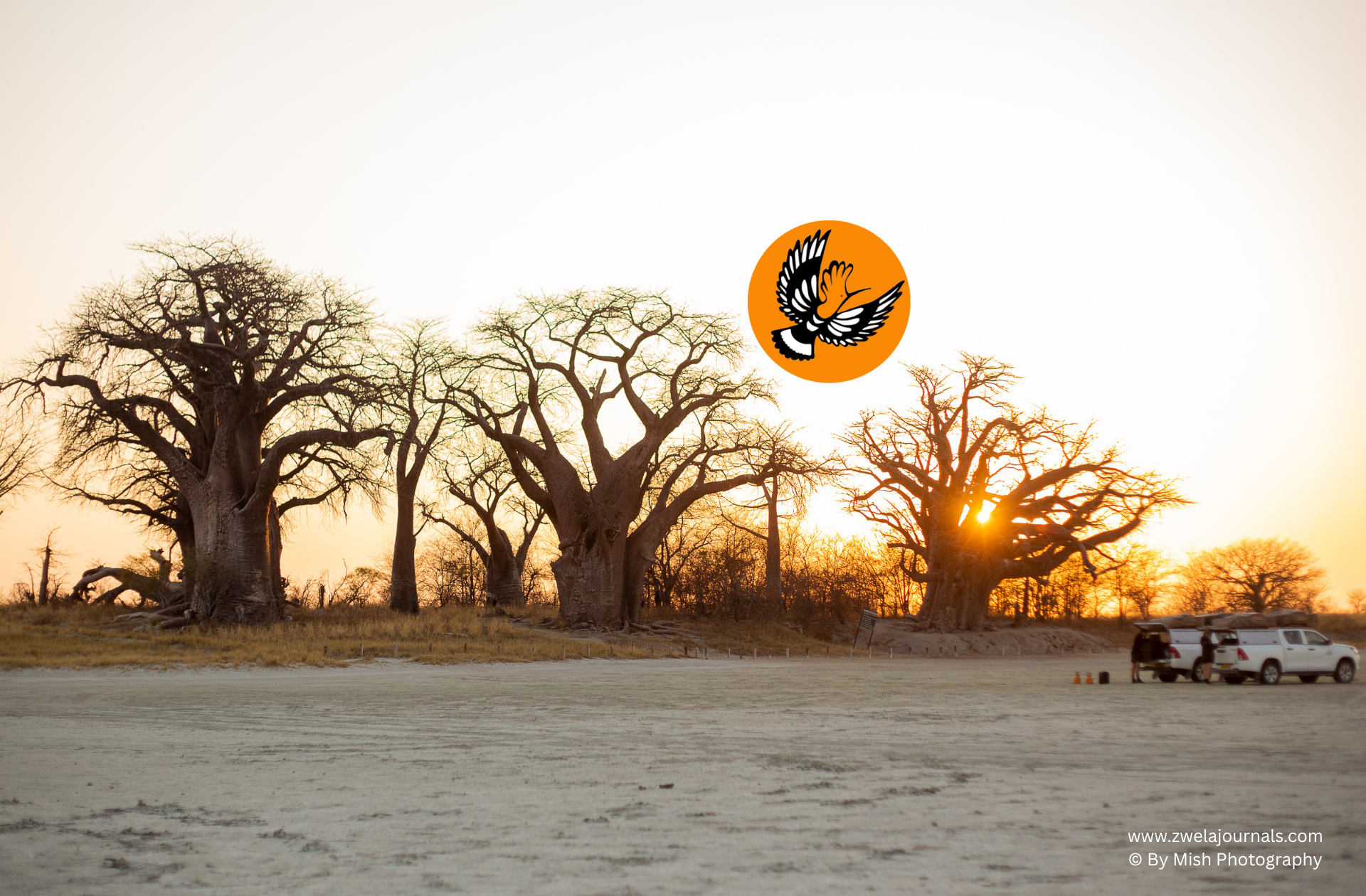 Baines Baobabs Camping in Nxai Pan | Family Adventure & Football on the Salt Pan