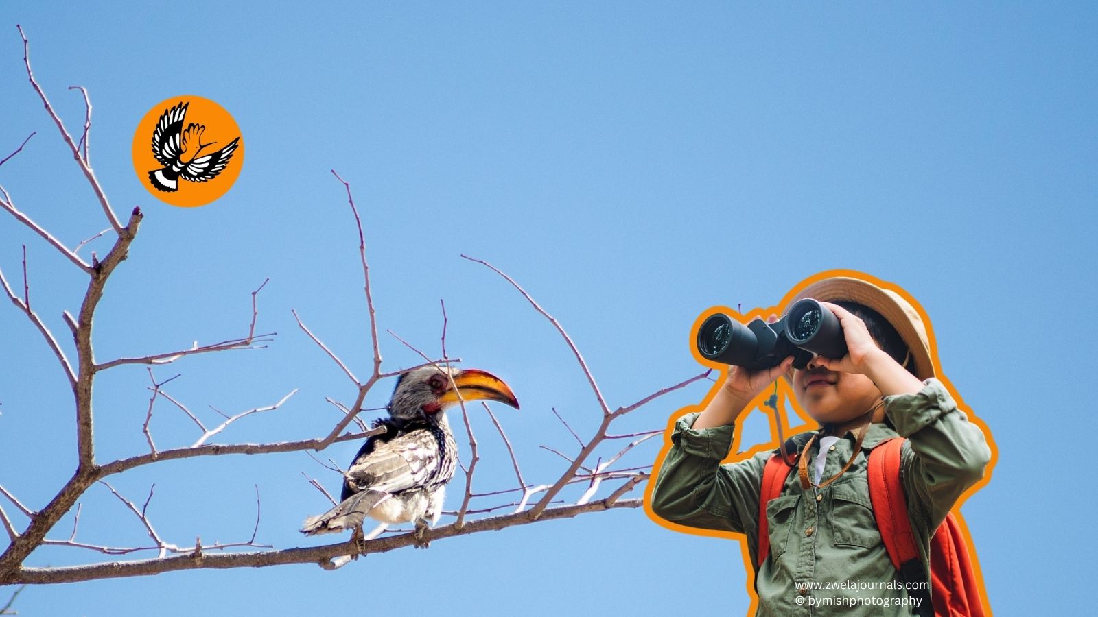Top 5 Family Friendly camps in Kruger National Park
