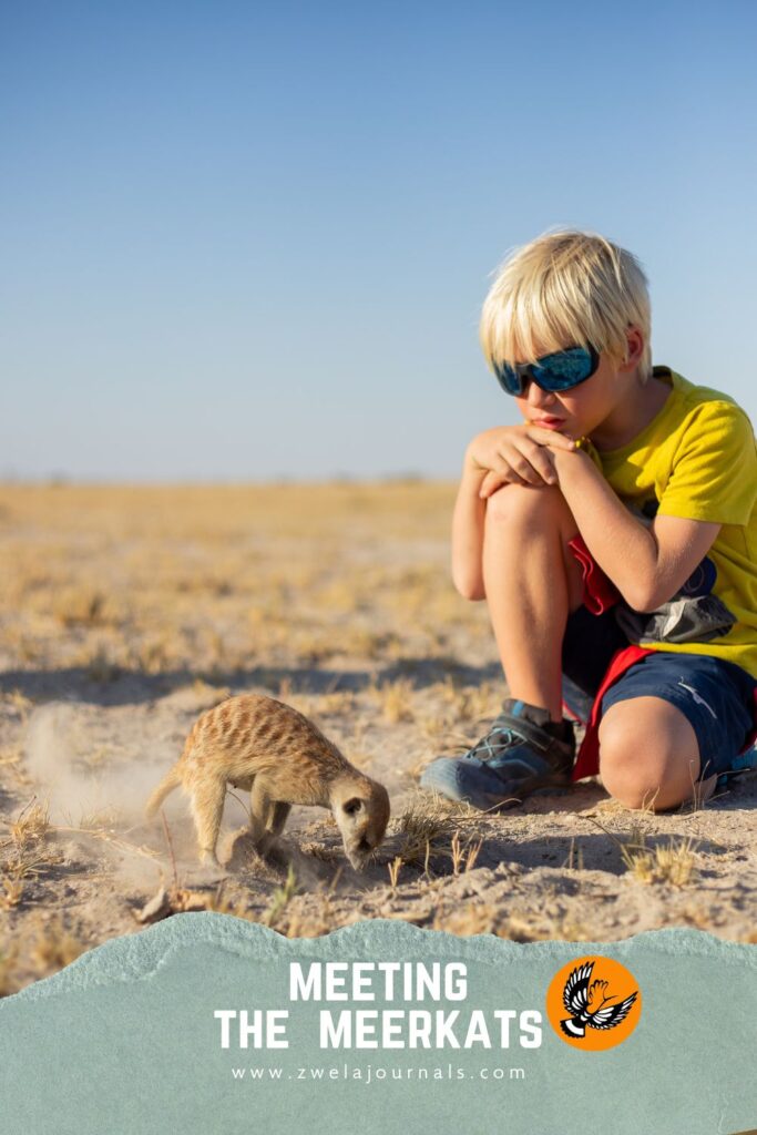 Adventure with kids activity Botswana, Planet Baobab sleep-out on the pan. self drive with kids in Botswana