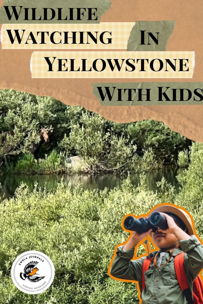 Wildlife Watching in Yellowstone with Kids