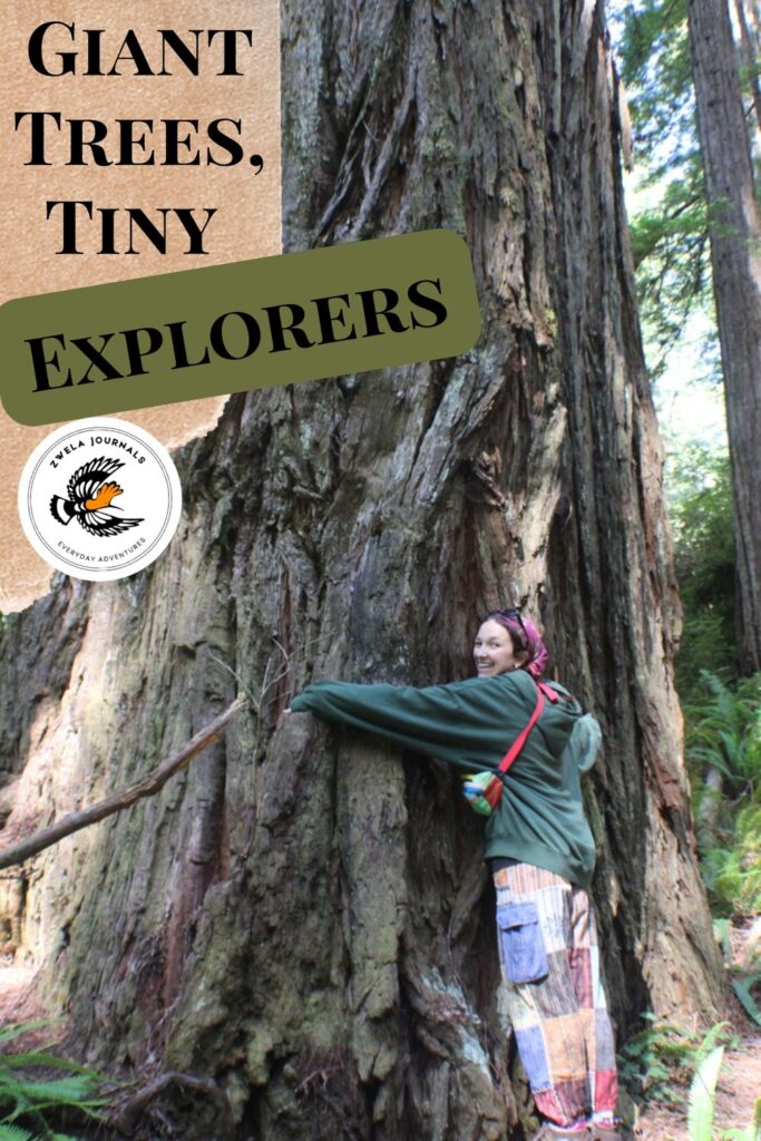 Giant Trees, Tiny Explorers