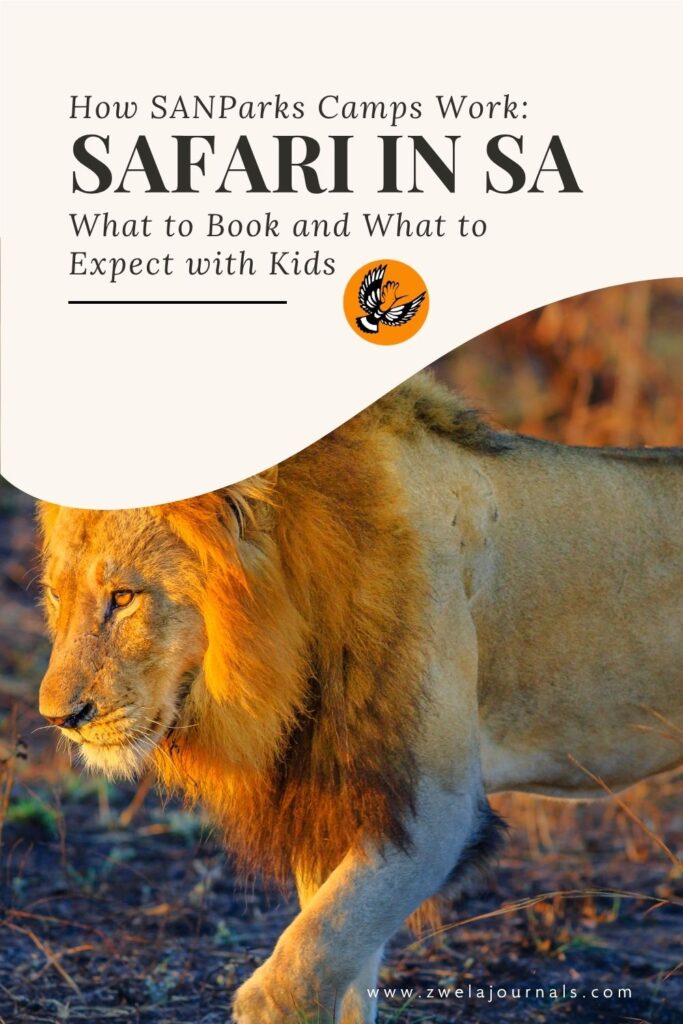 How SANParks camps work, a family guide to booking camps inside South Africa's national parks