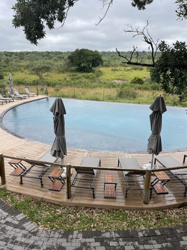 Swimming pool overlooking the bush at Mdluli Safari Lodge in Kruger National Park