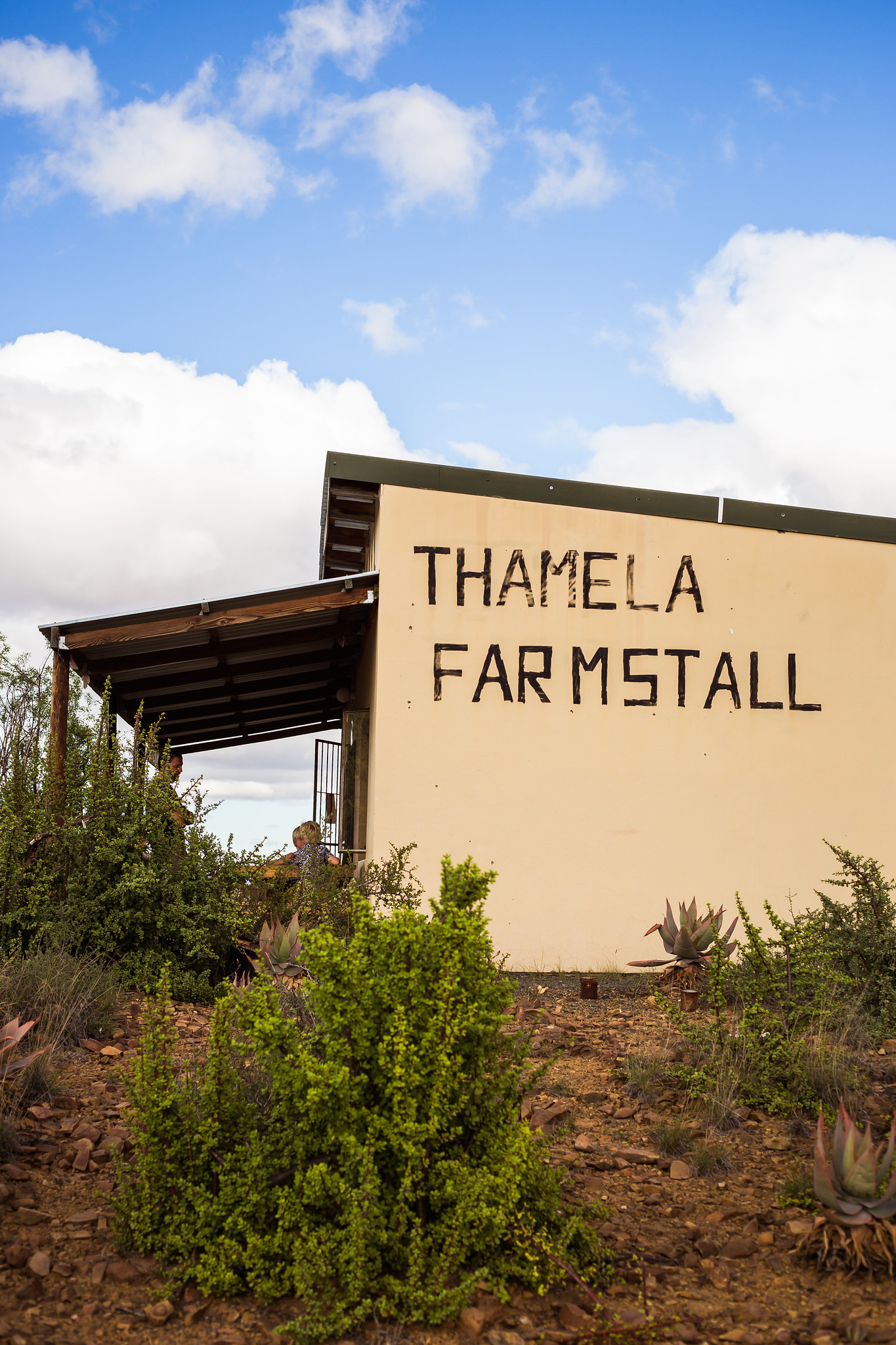 Family self-driving safely in South Africa and stopping at a roadside farm stall