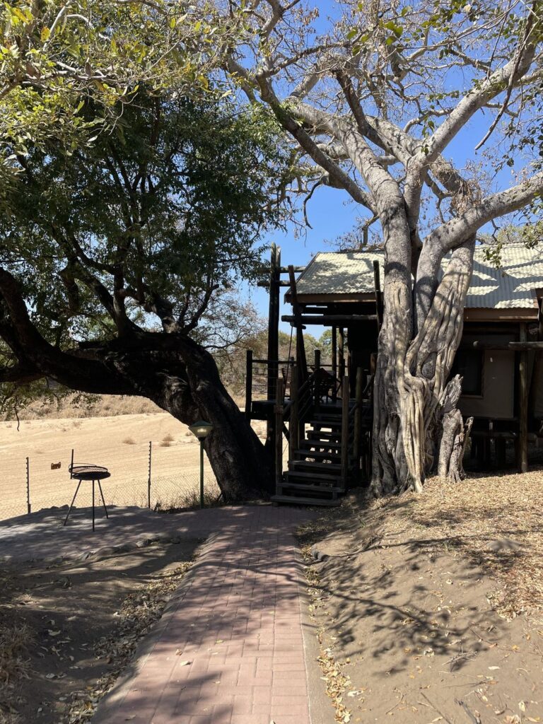 Perimeter permanent safari tent with a braai outside at a SANParks camp in South Africa