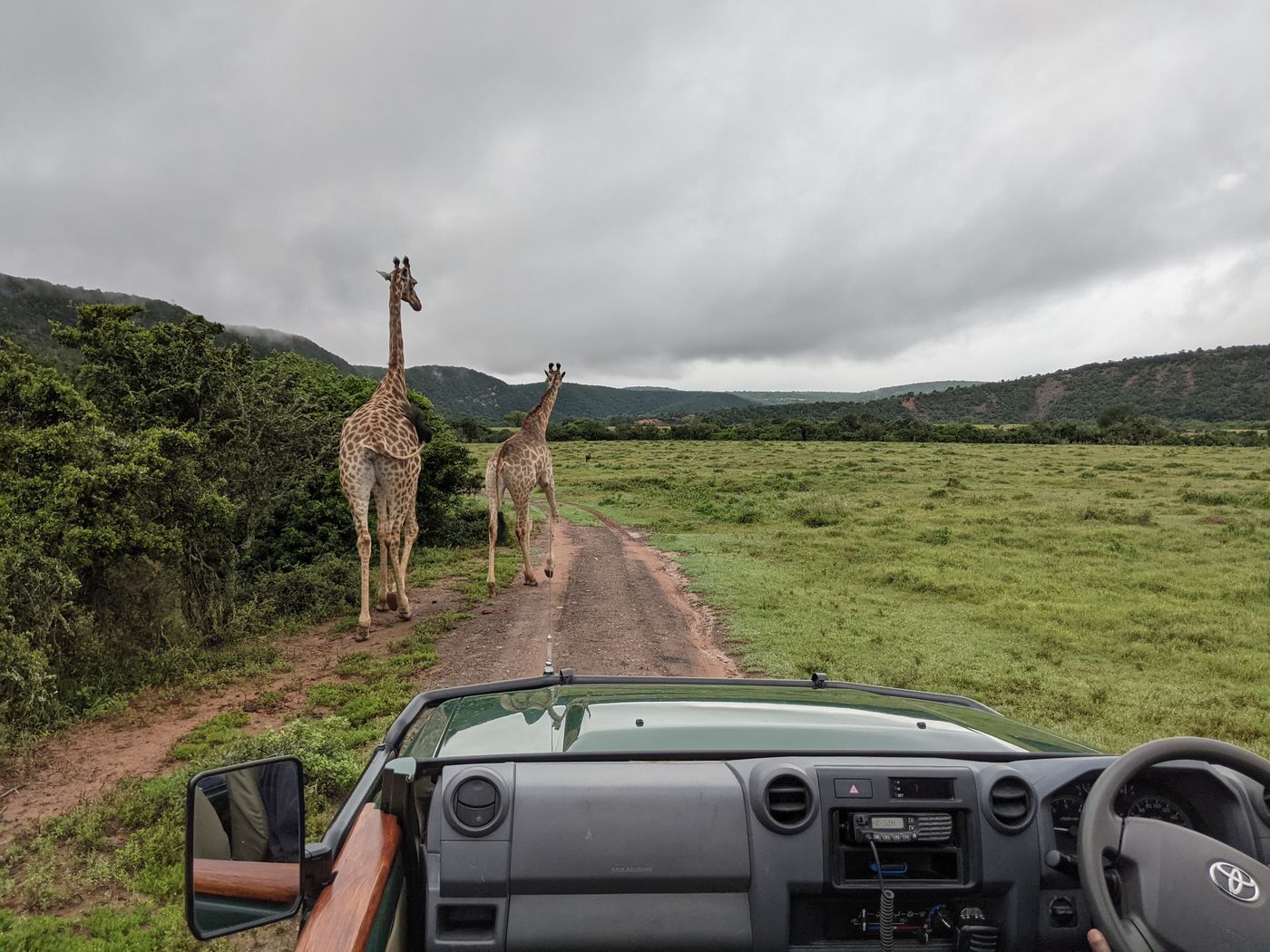 How SANParks Camps Work: What to Book and What to Expect with Kids