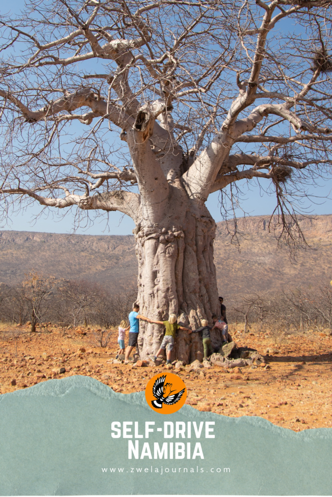 Road trip Namibia with kids