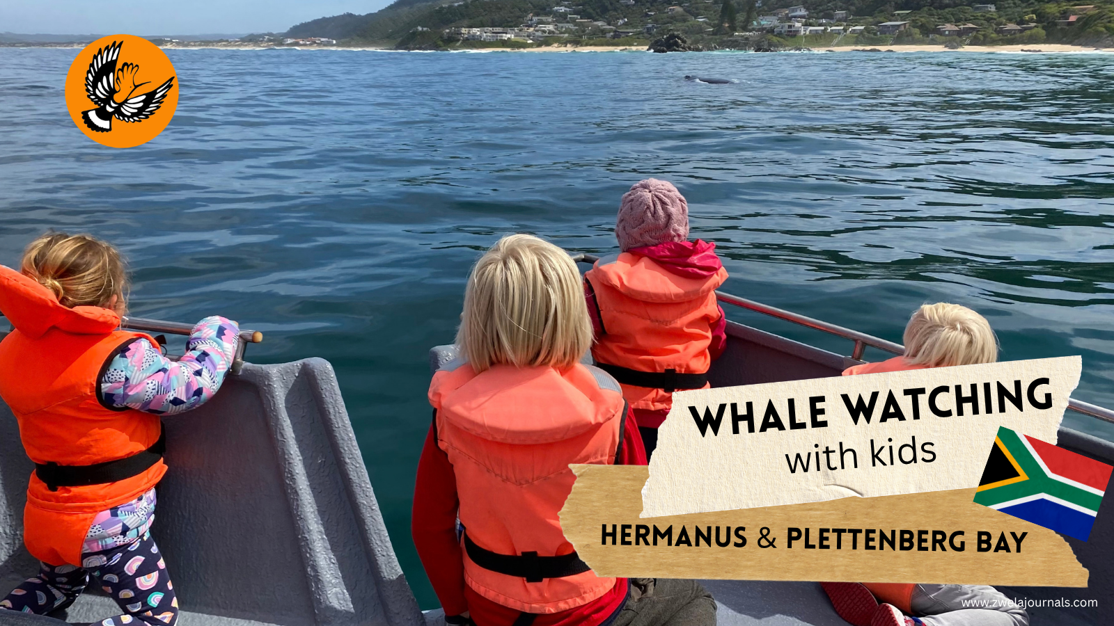 Whale Watching with Kids in South Africa: Hermanus & Plettenberg Bay