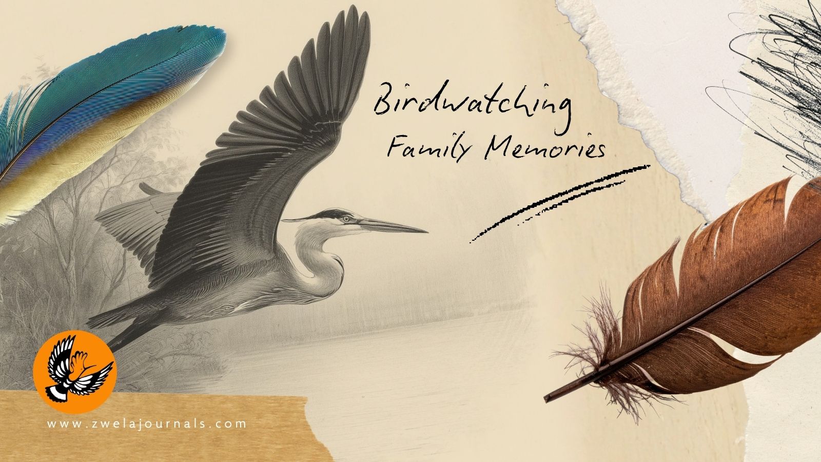 Birdwatching in South Africa: Family, Memories and the Magic of Birds