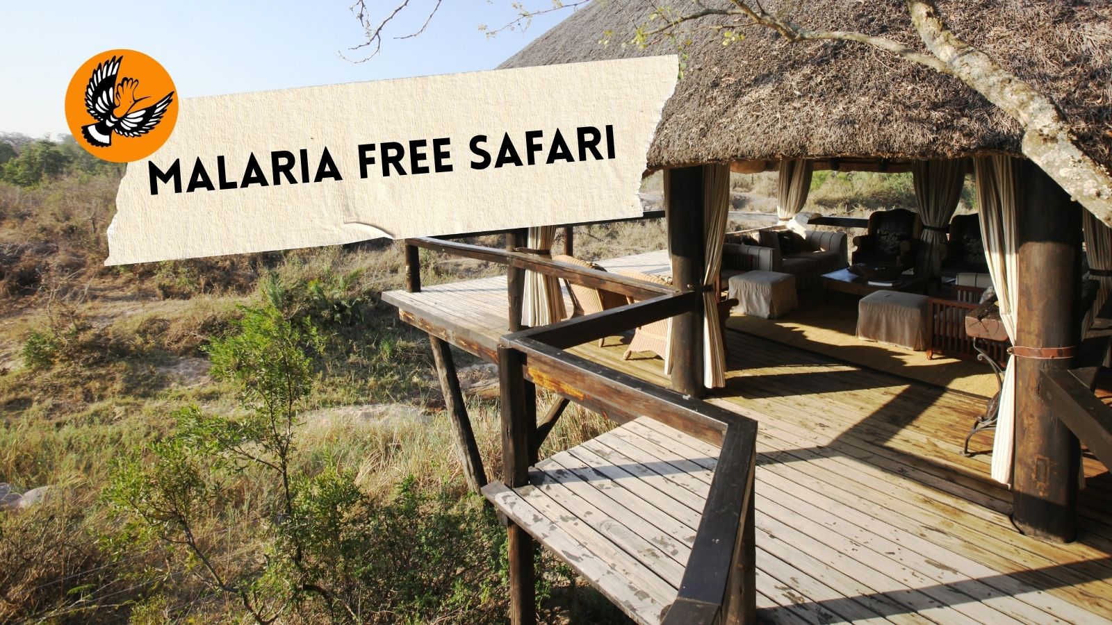 Malaria-Free Safari in South Africa